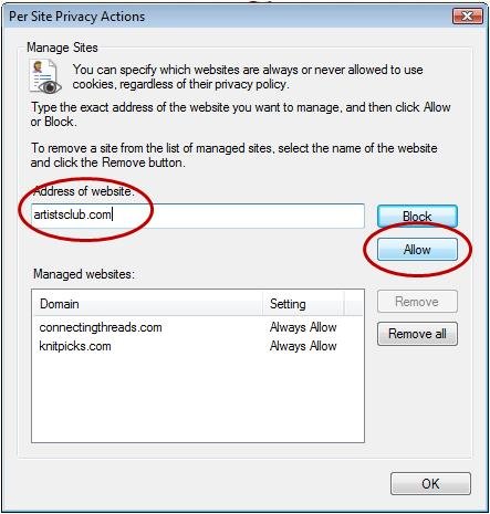 IE Allow Web Site