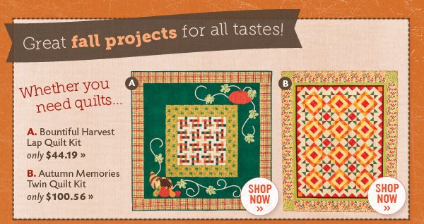 New Fall Projects for all Tastes